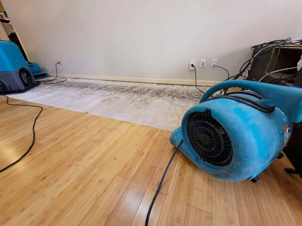Professional Structural Drying technician working in Leon, VA